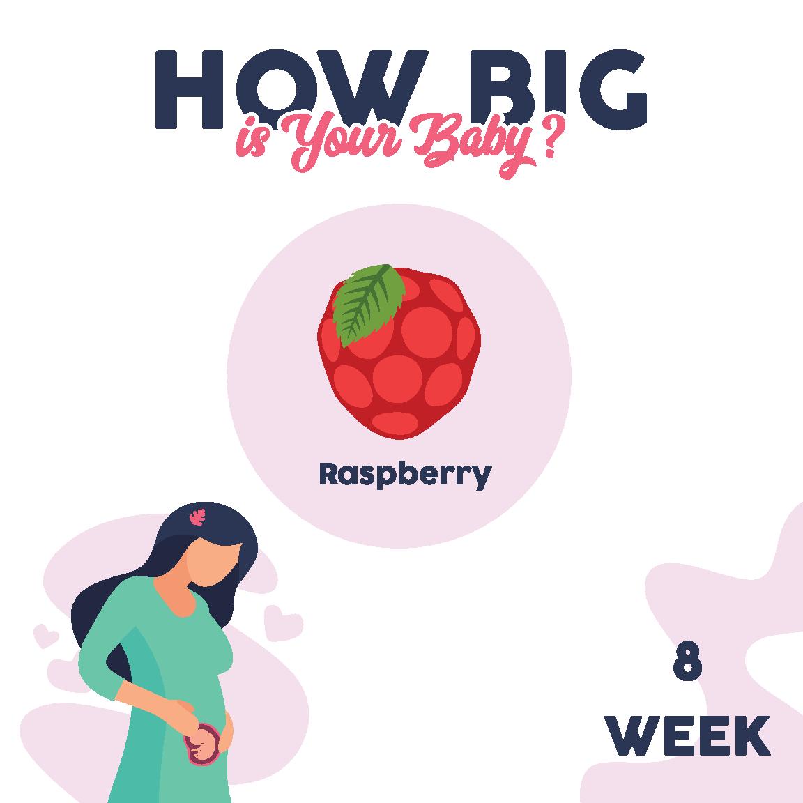 week-8-how-big