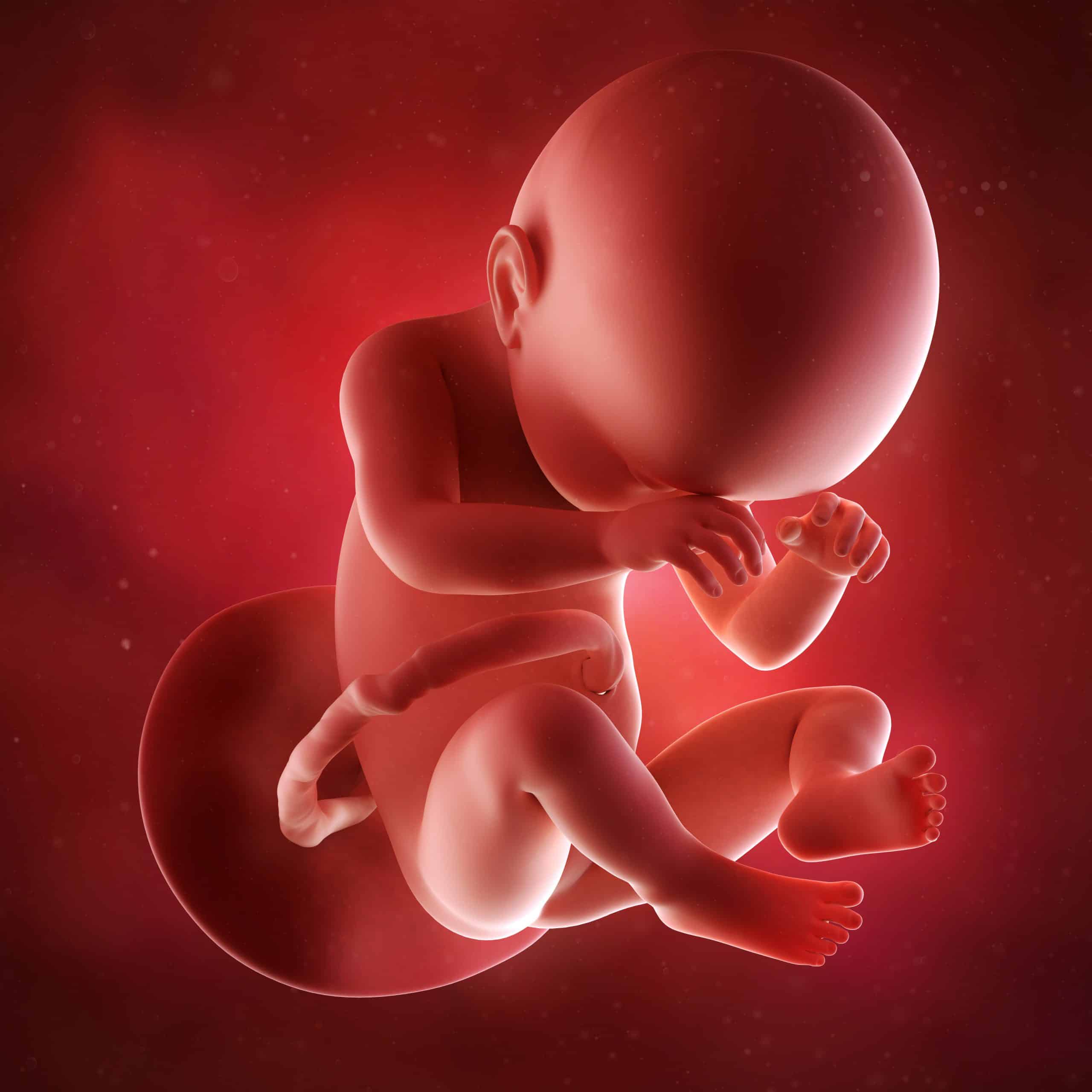 38-week-foetus